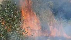 Bolu'da korkutan yangın