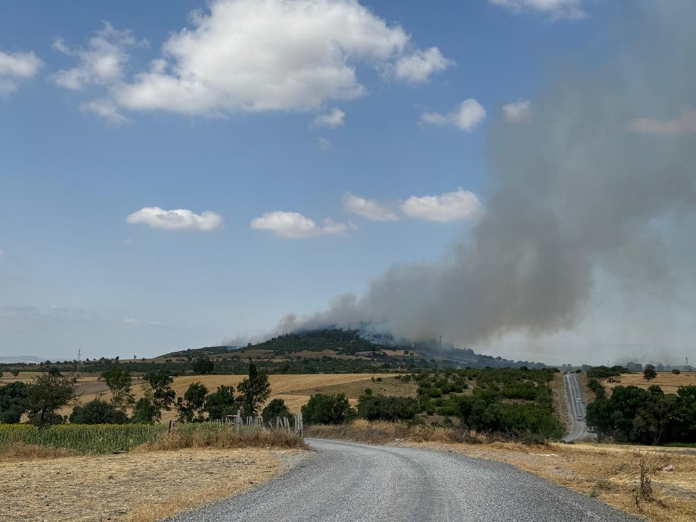 İstanbul, Bingöl, Balıkesir ve Kastamonu ve Çanakkale’de yangın: Ekiplerin müdahalesi sürüyor - 4