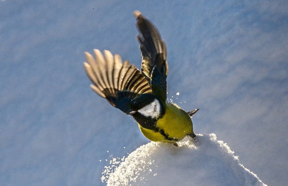 Moskova'da son 28 yılın kar yağışı rekoru kırıldı - 9