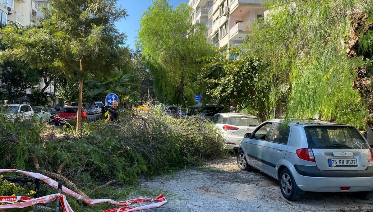 Otomobilin üzerine ağaç devrildi