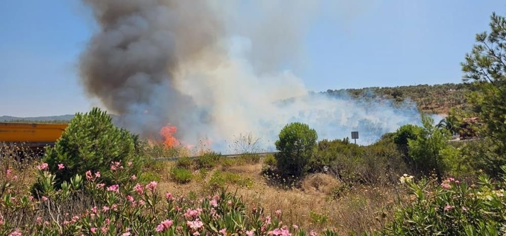 Urla ve Bodrum'da yangın (Havadan ve karadan müdahale ediliyor) - 5