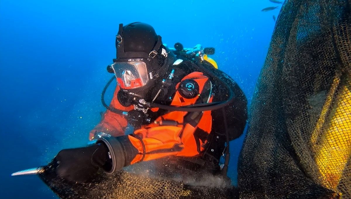 'Hayalet ağ' dalış turizmi için batırılan vapuru kapladı