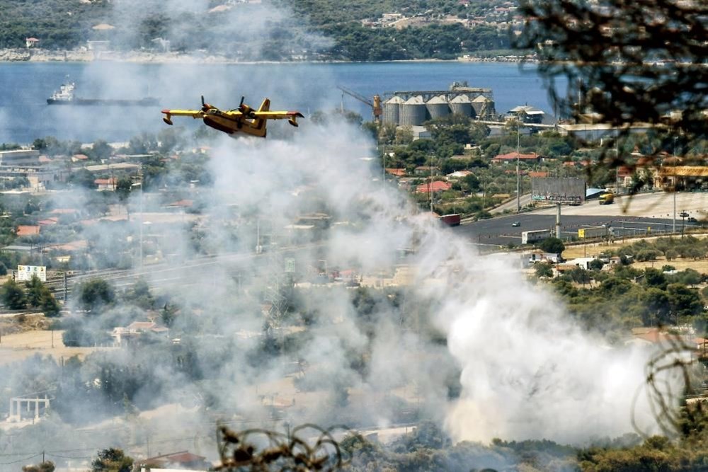 Yunanistan Orman Yangını