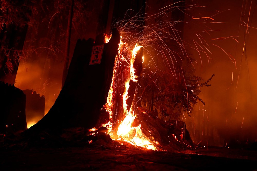 California'da 8 bin kilometrekare alan yandı, rekor kırıldı - 5