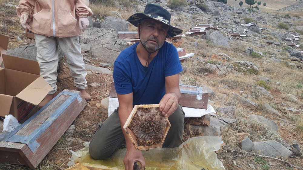 Erken hasat edildi! Sütle karıştırınca öksürüğü kesiyor - 4