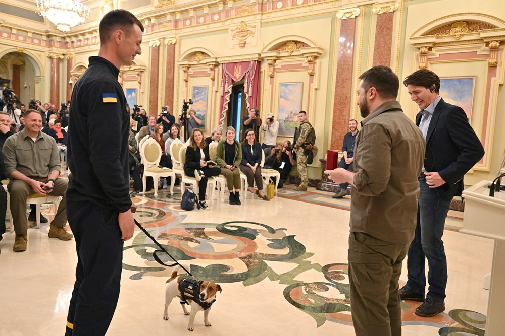 Zelenski’den yüzlerce mayını tespit eden köpeğe devlet nişanı - 3