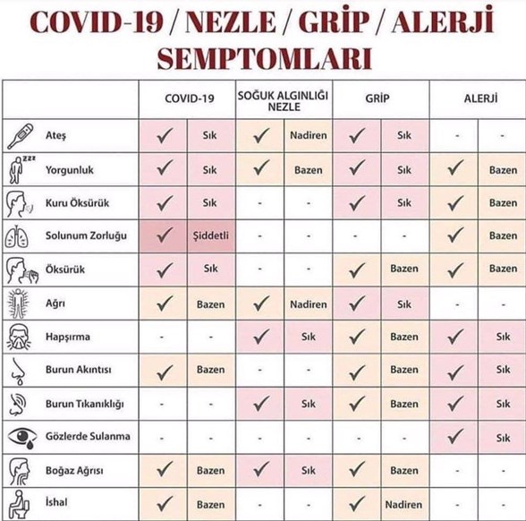 covid 19 u alerji grip ve nezleden