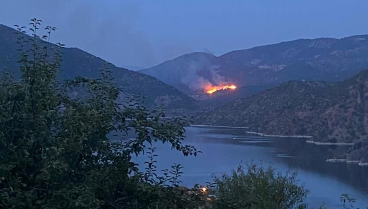 Çorum'da orman yangını: Ekipler bölgede