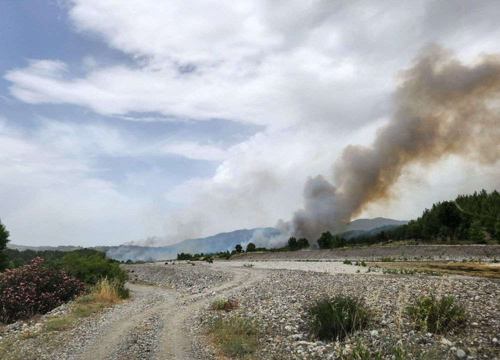 Muğla, Balıkesir, Denizli, Aydın ve Manisa’da 6 noktada orman yangını: Müdahale uçağı Bafa Gölü'ne sert iniş yaptı - 3