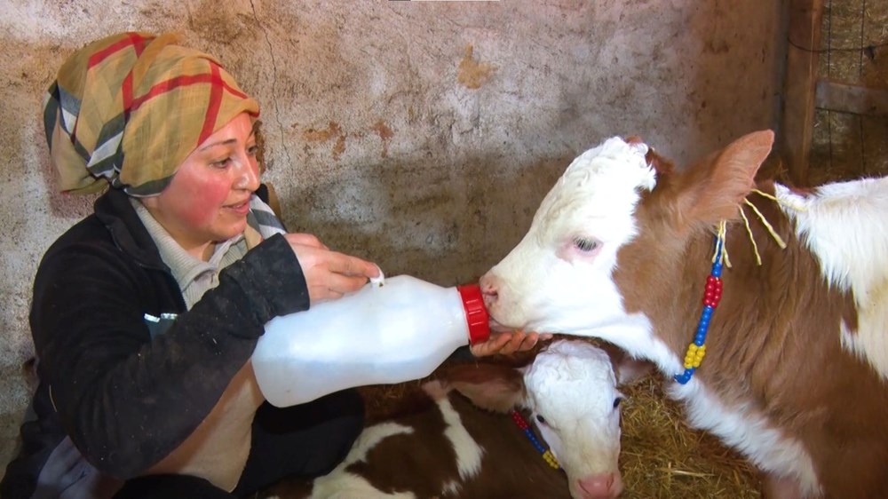 ''Kadınsın yapamazsın'' dediler, çiftlik kurdu 72