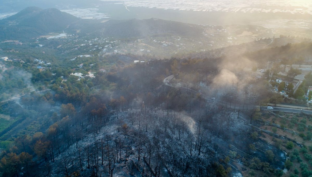 Antalya Kaş'ta orman yangını