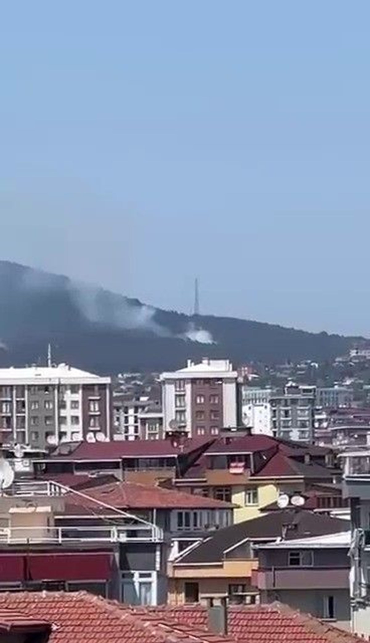 İstanbul'da orman yangını: 4 hektarlık alan etkilendi