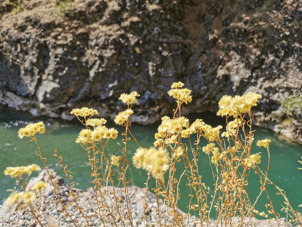 Amerika'nın ünlü Colorado Nehri'ne benzetiliyor: Tunceli'nin kartpostallık güzelliği Munzur Vadisi - 9