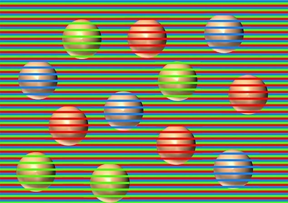 Bu görsel size kim olduğunuzu söylüyor: Resimde ilk önce hangi hayvanı gördünüz? - 8