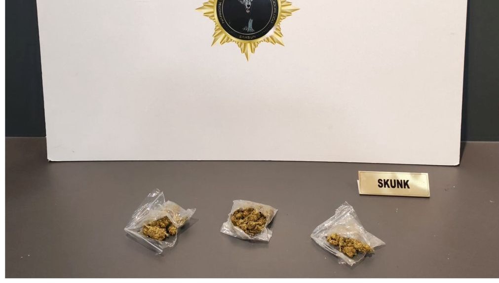 Samsun'da narkotik operasyonu