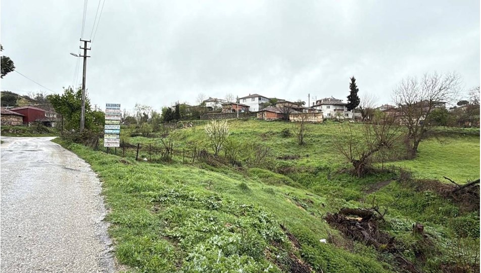 Çanakkale'de şap alarmı: İki ilçede karantina