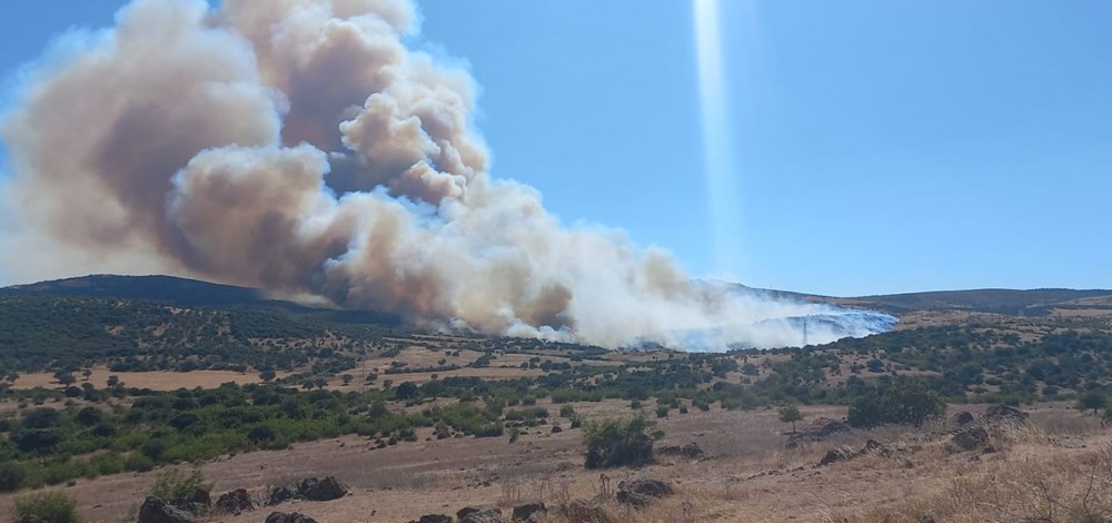 Çanakkale ve İzmir'de orman yangını: Havadan ve karadan müdahale başladı - 1