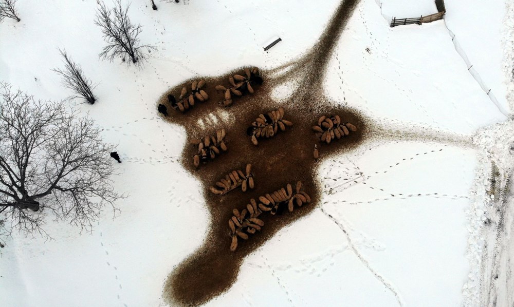 Erzincan�da kartpostall�k k�� foto�raflar�