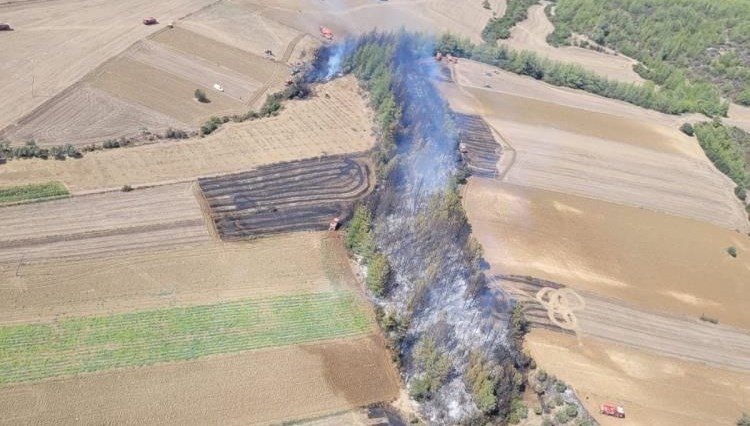 Adana'da orman yangını
