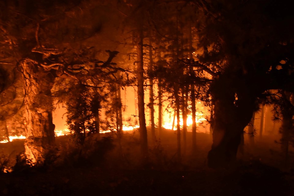 Kütahya Emet'te orman yangını - 2