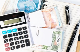 turkiye varlik fonu kamu sigorta