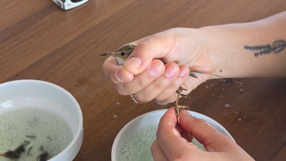 Yapıştırıcıyla vefat tuzağı: ''Bu zalimliktir'' 77 g28LYW lPUKgh9P2DmnA3A