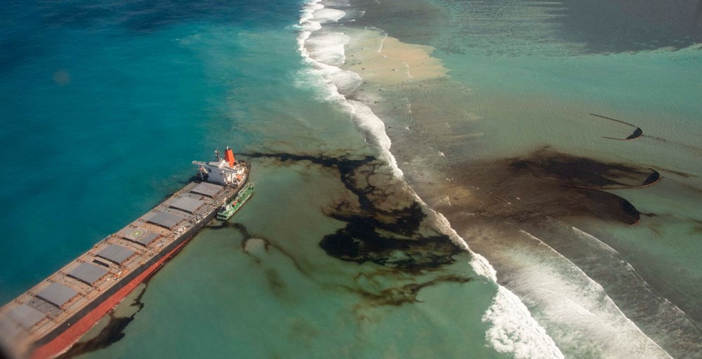 Mauritus'daki petrol sızıntısı sahilleri bu hale getirdi - 22
