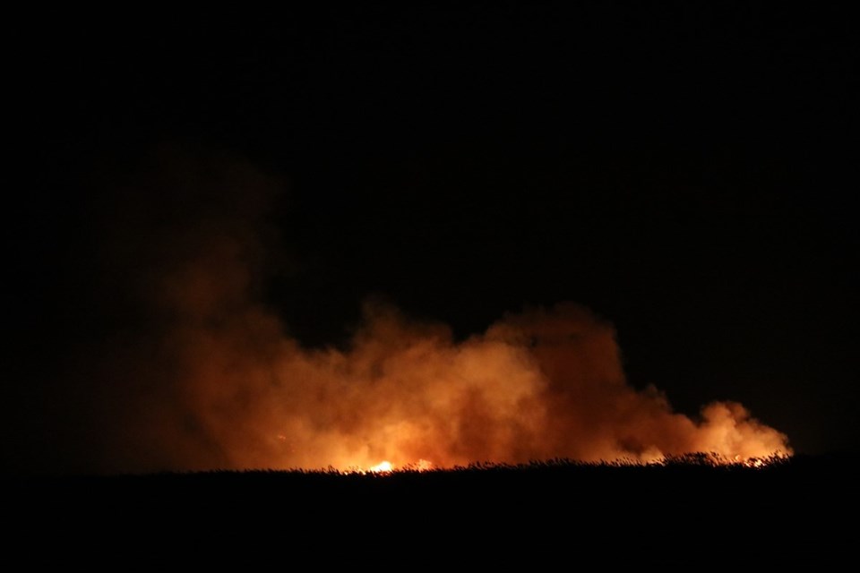 Sultan Sazlığı Milli Parkı'nda yangın - 1
