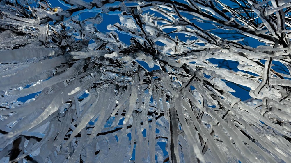 Bir ilde hava sıcaklığı eksi 10 dereceye düştü: Ağaçlarda buz sarkıtları oluştu - 5