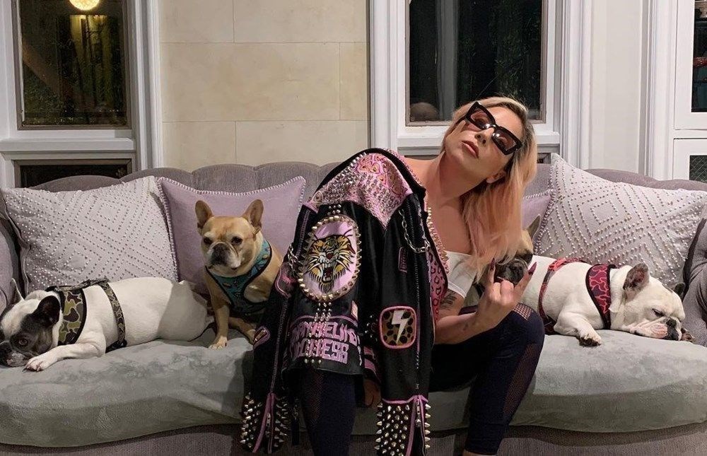 Lady Gaga’nın köpeklerini teslim eden kadın tutuklandı - 5