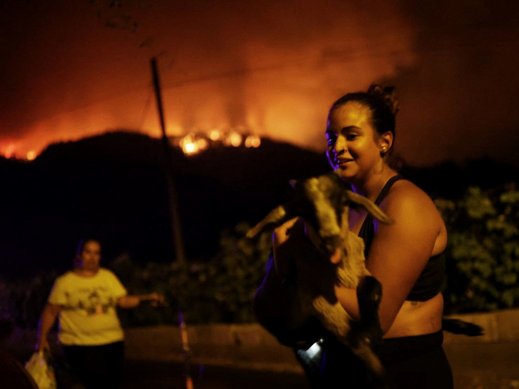 İspanya'nın Kanarya Adaları'nda yangınlar nedeniyle 26 bin kişi tahliye edildi - Son Dakika Dünya Haberleri | NTV Haber