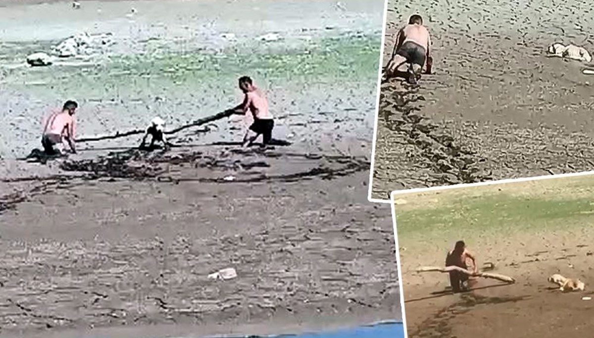 Kuruyan baraj çevresinde bataklık tehlikesi | Köpeği kurtarmak için dakikalarca uğraştılar Kuruyan baraj çevresinde bataklık tehlikesi | Köpeği kurtarmak için dakikalarca uğraştılar