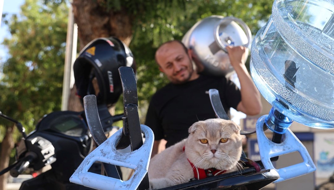 Konya'nın tüpçü kedisi! Bütün gün motosiklette sipariş dağıtıyorlar... "Ayrılamaz olduk"