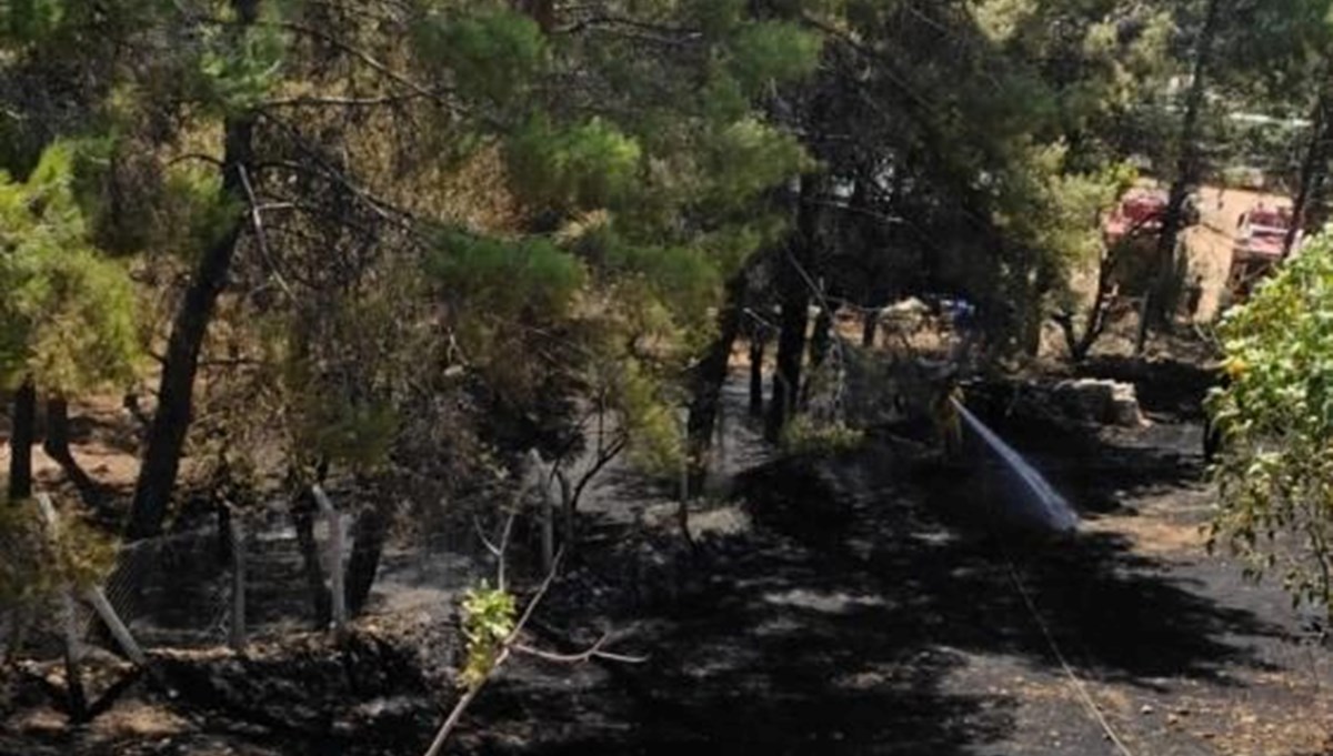 Adıyaman'da otluk alanda yangın