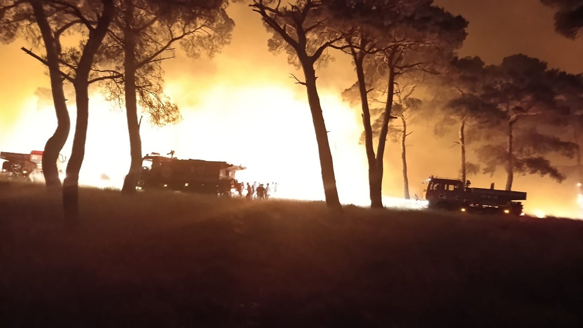 Çanakkale'de tarım arazisinde başlayıp ormana sıçrayan yangın söndürüldü