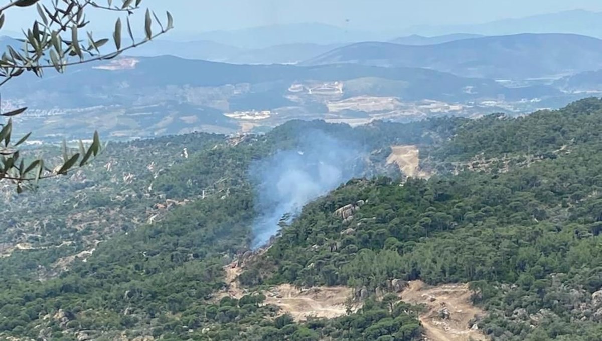 Muğla’da orman yangını: Havadan ve karadan müdahaleyle söndürüldü