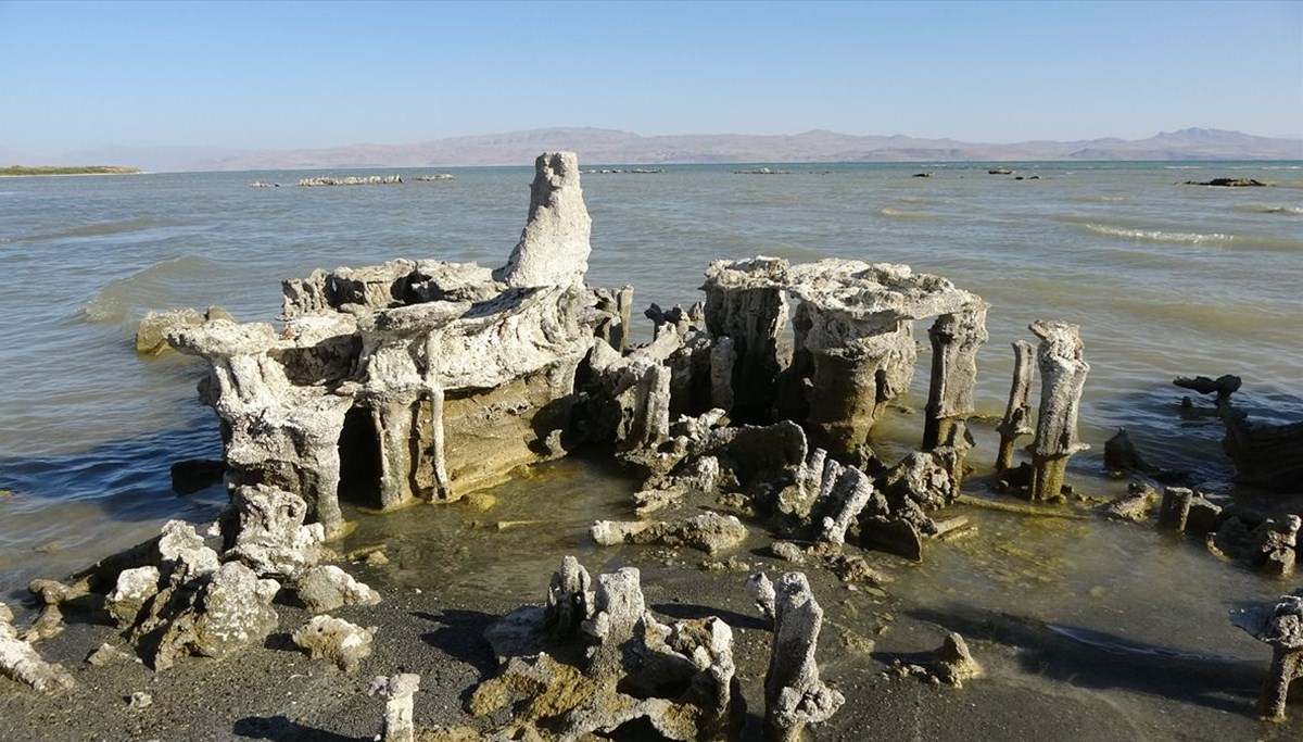 Van Gölü'nde su çekilince binlerce yıllık mikrobiyalitler görüntülendi