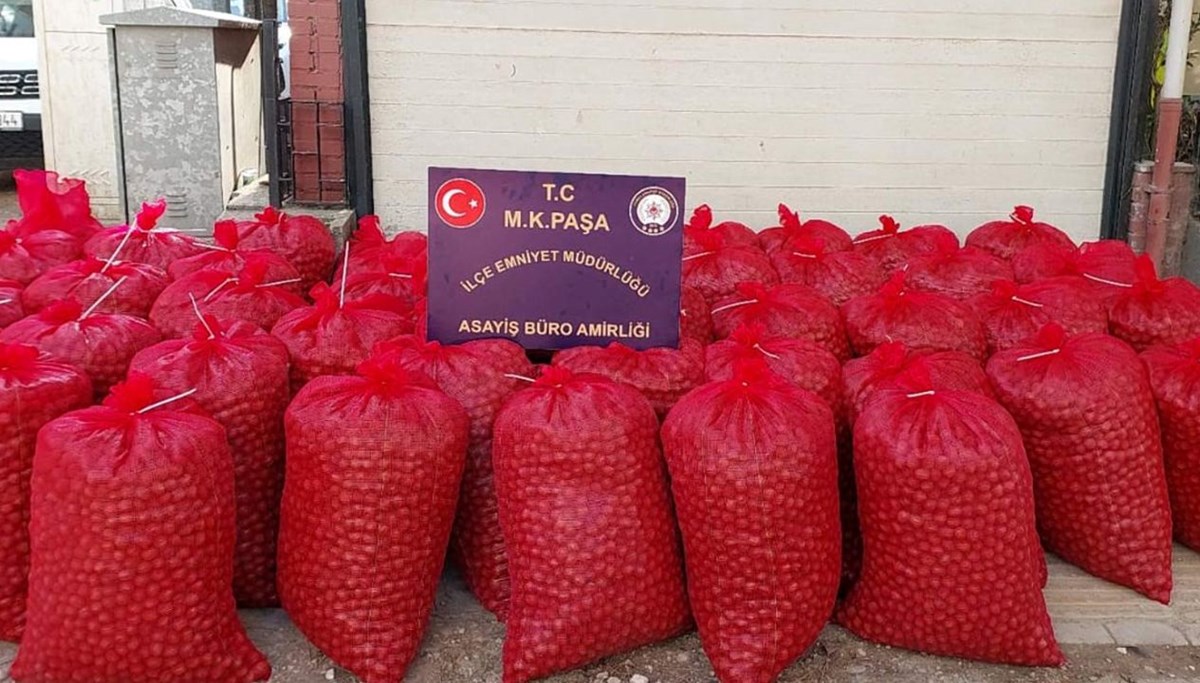 Hırsızlar çuval çuval cevizle yakalandı