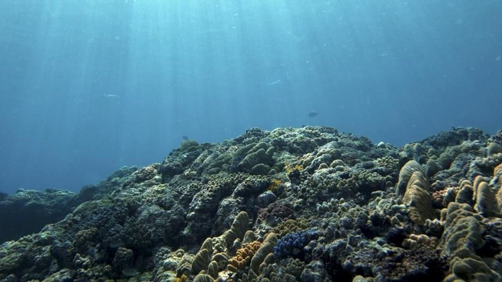 Ay'da kaç kişi yürüdü? (İlginç bilgiler) - 12