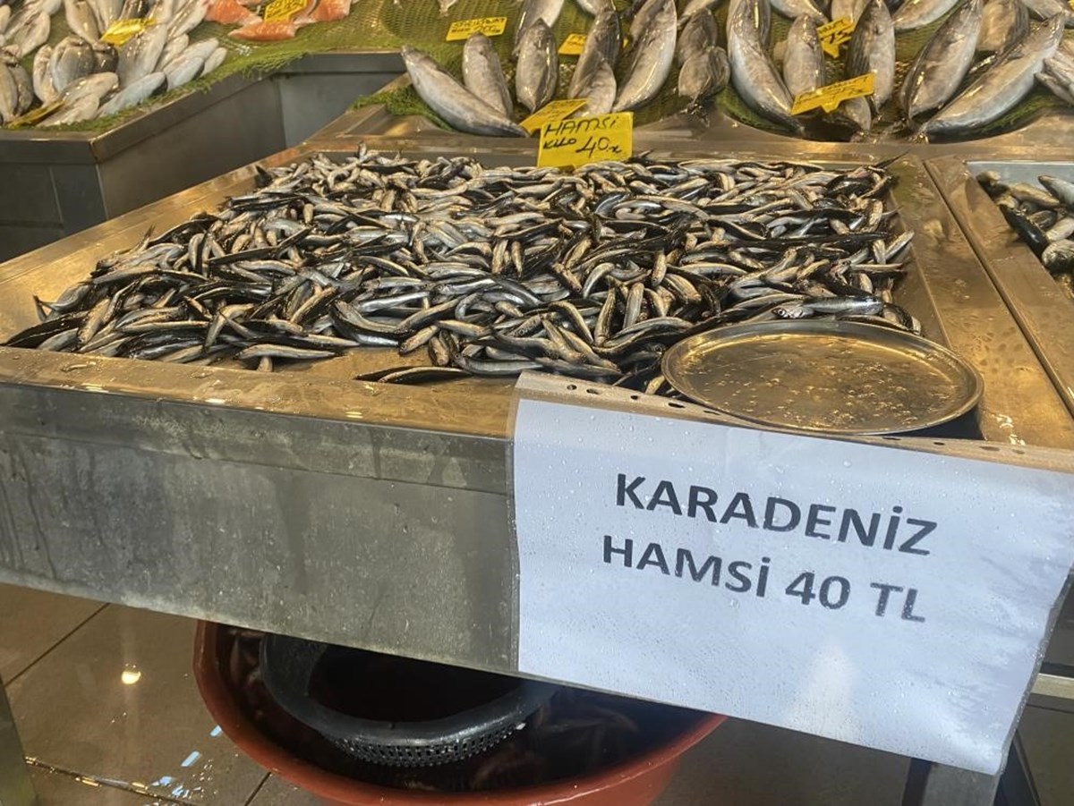 gDNyK3SJzUKZyfe22GGCNw.jpg