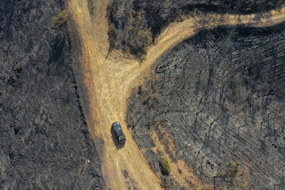 Marmaris'teki orman yangını kontrol altına alındı - 3