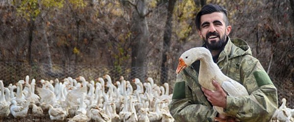 Aradığı işi bulamayınca kaz çiftliği kurdu