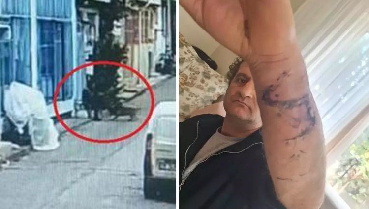 Pitbull cinsi köpeği üzerine salmışlardı: Savcı 21 yıl hapis istedi