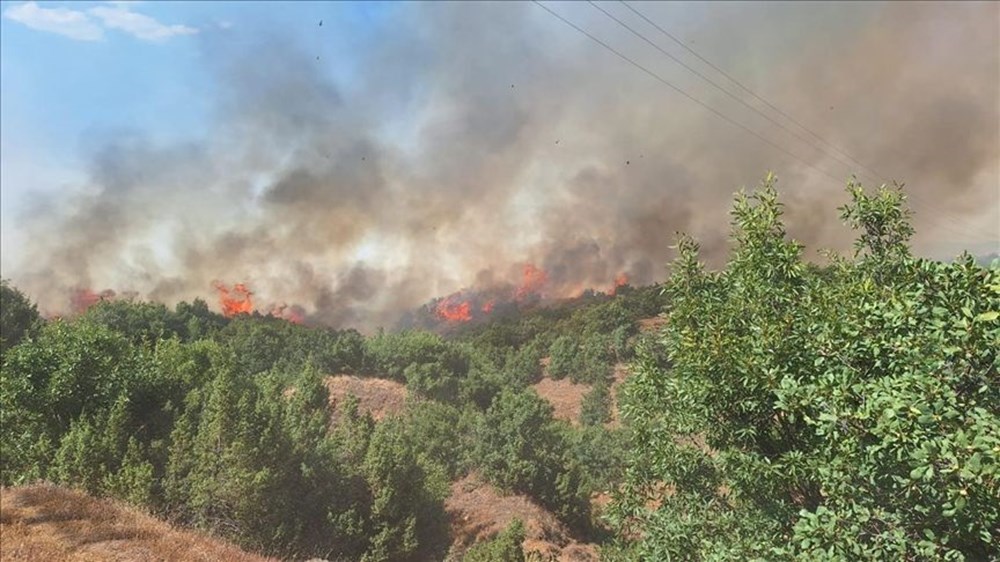 Orman yangınları son durum 2025: Bursa, Karabük, Uşak, Kahramanmaraş, Bingöl, Antalya yangınları söndürüldü mü? - 7