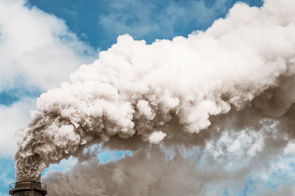 Kenevirin ürettiği sera gazı emisyonları, fosil yakıtlardan yüzde 30 daha fazla - 1