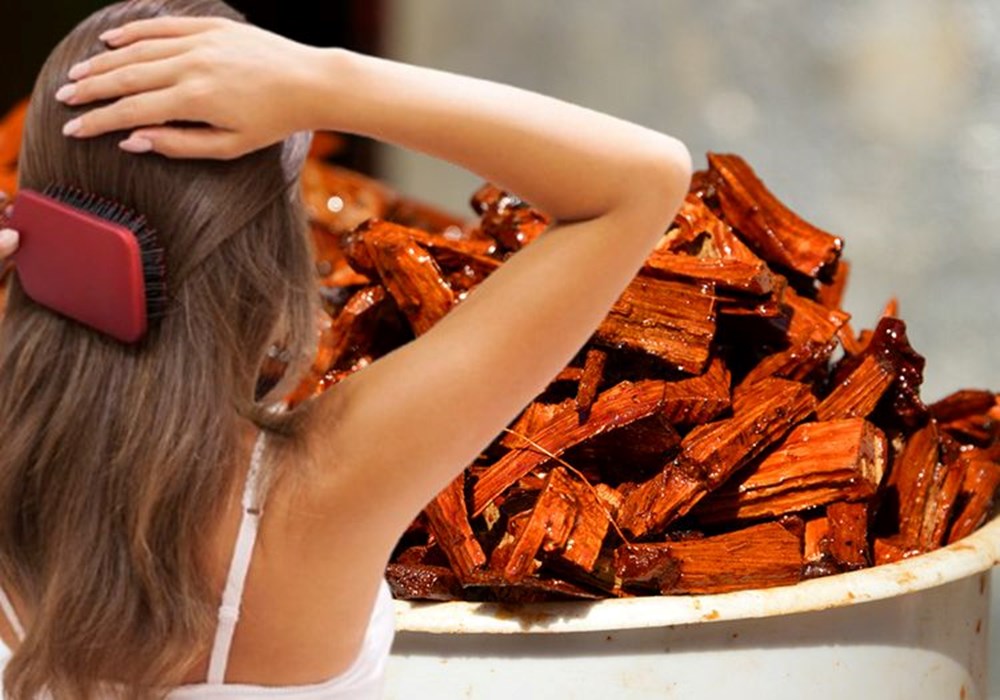 Mantar, kepek, kuruluk için 1 damlası yetiyor: Saç derisi için doğal şifacı 72 gHTOdyfLO0u9zE3MOENntA