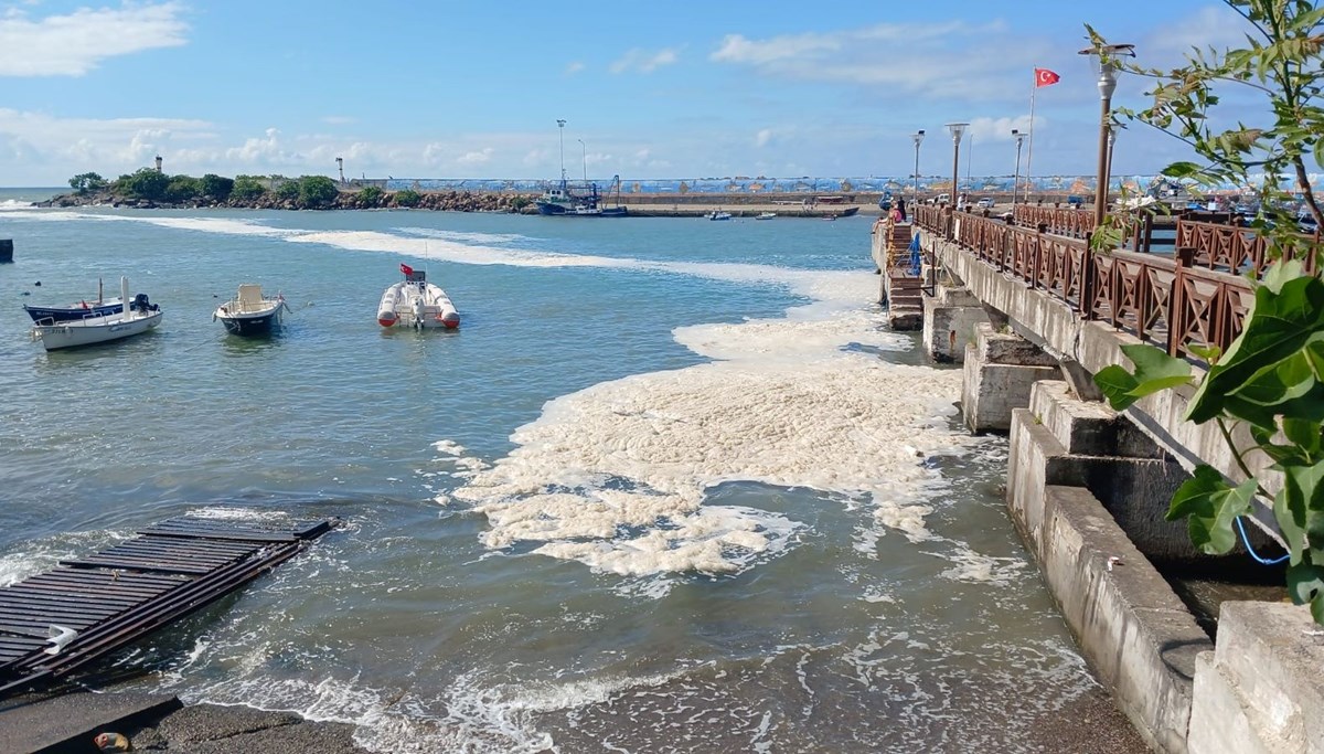 Karadeniz’de müsilaj iddiası | Düzce Valiliği'nden açıklama