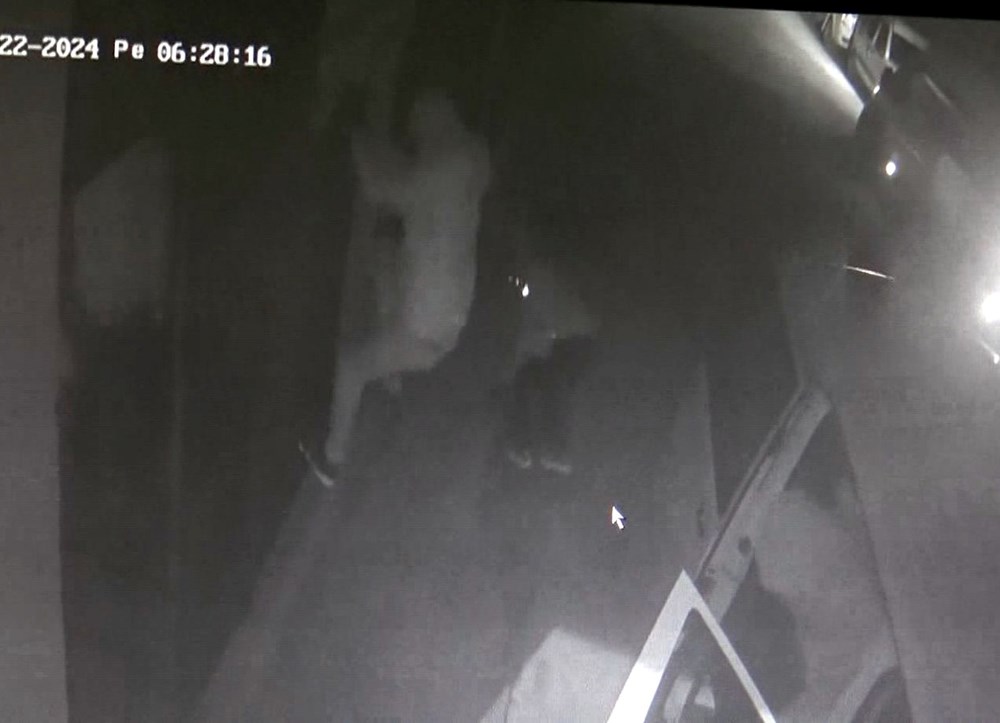 50 bin liralık kablo hırsızlığı - 4