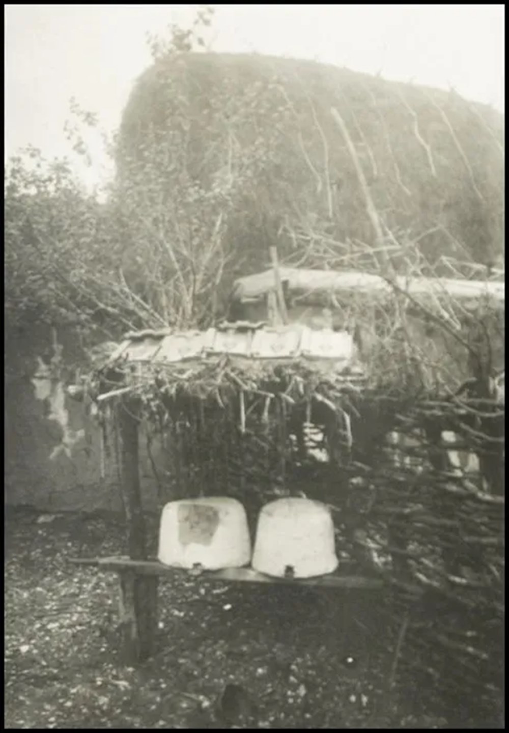 Bilim kurgu değil Türk boylarının 111 yıllık fotoğrafları. Gizemli heykeller, gelişmiş aletler, tanıdık kıyafetler (106 fotoğrafla gizemli Türk tarihi) - 45