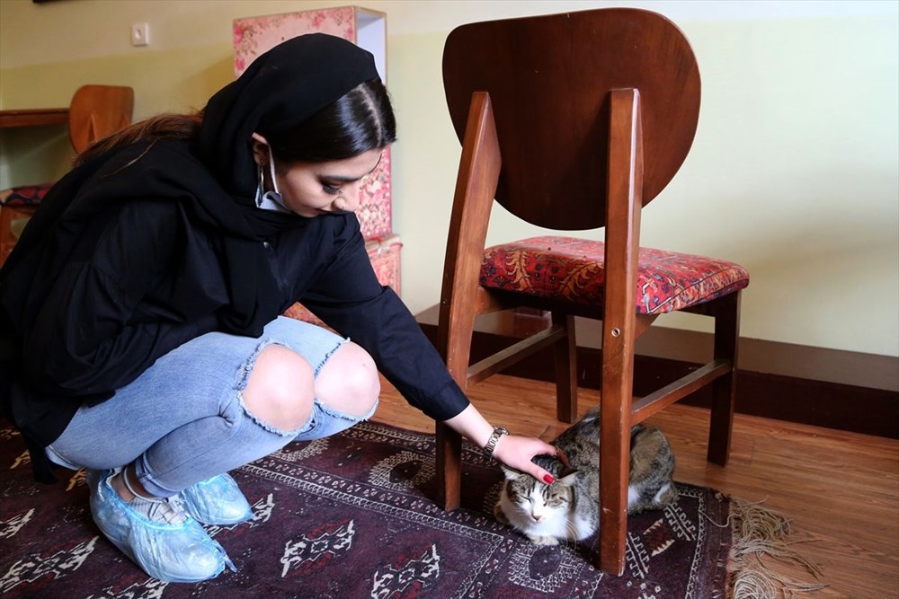 Onlarca kediye ev sahipliği yapan sıra dışı 'Kedi Müzesi' - 6